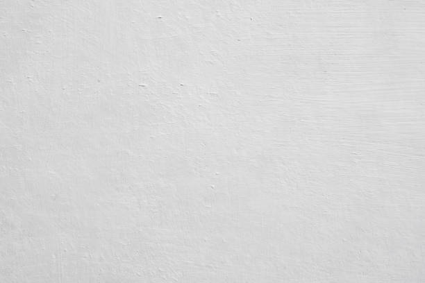 Best Black Mold Removal  in Pasadena, CA