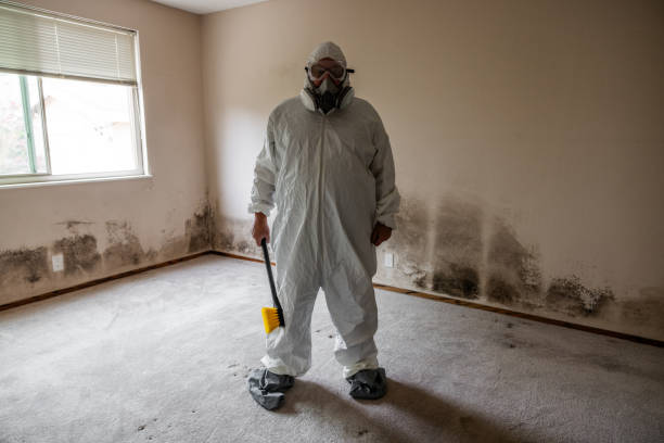 Best Biohazard Mold Removal  in Pasadena, CA