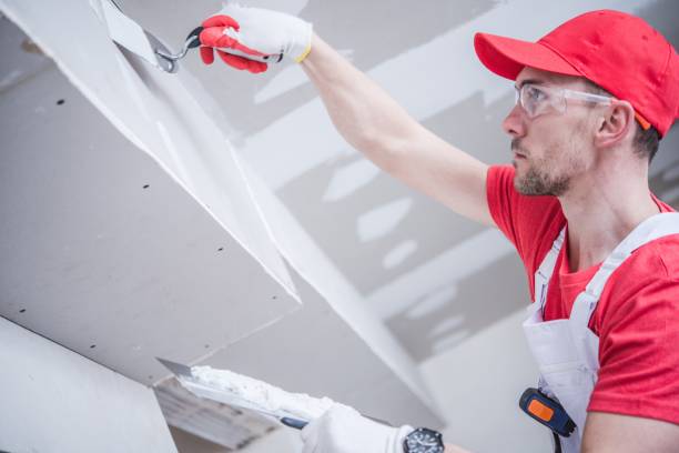 Best Attic Mold Removal  in Pasadena, CA